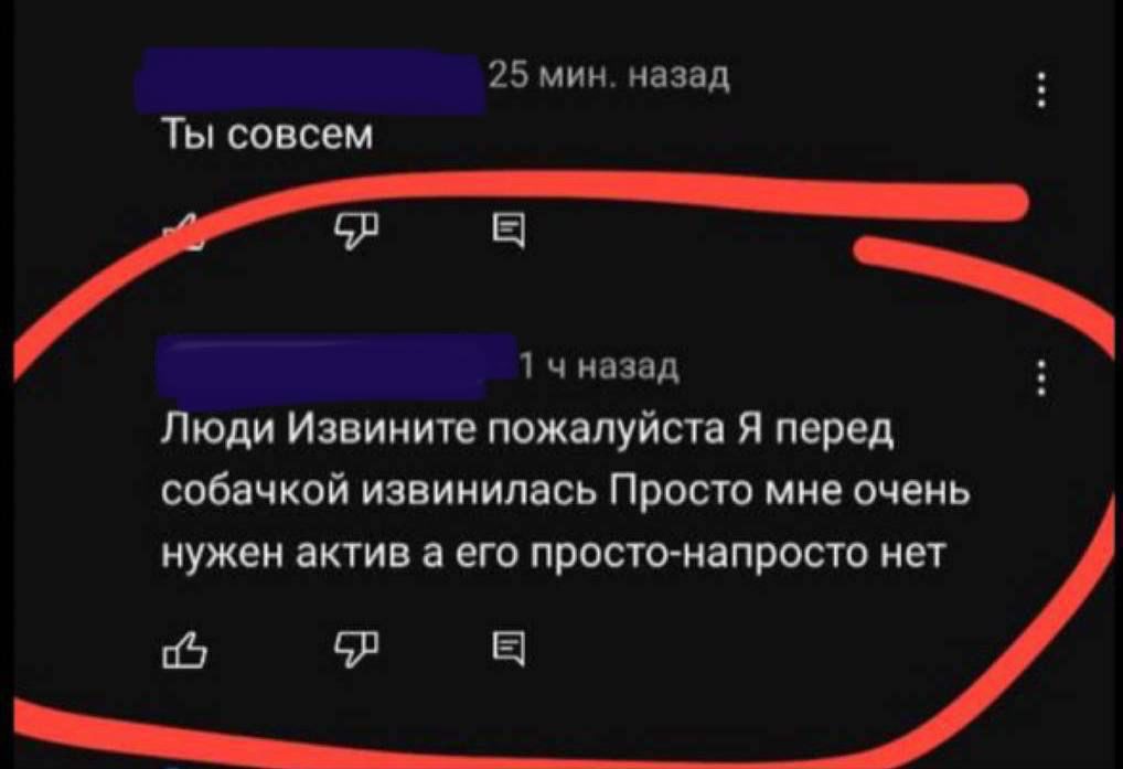Ужасы социальных сетей: девочка из Краснодарского края жестоко избила собаку ради славы в интернете 2
