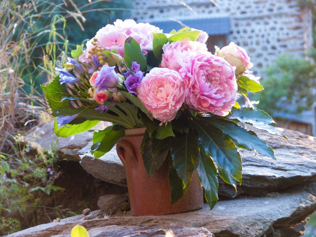 7 советов от СОЧИ24: как ухаживать за пионами, чтобы они простояли в вазе в 2 раза дольше