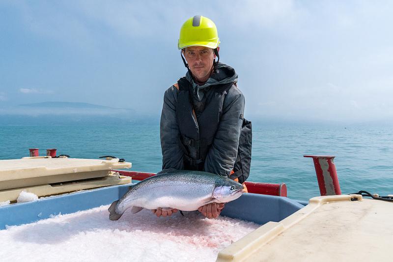 В Сочи привлекут около 20 млрд руб на создание инфраструктуры для выращивания форели