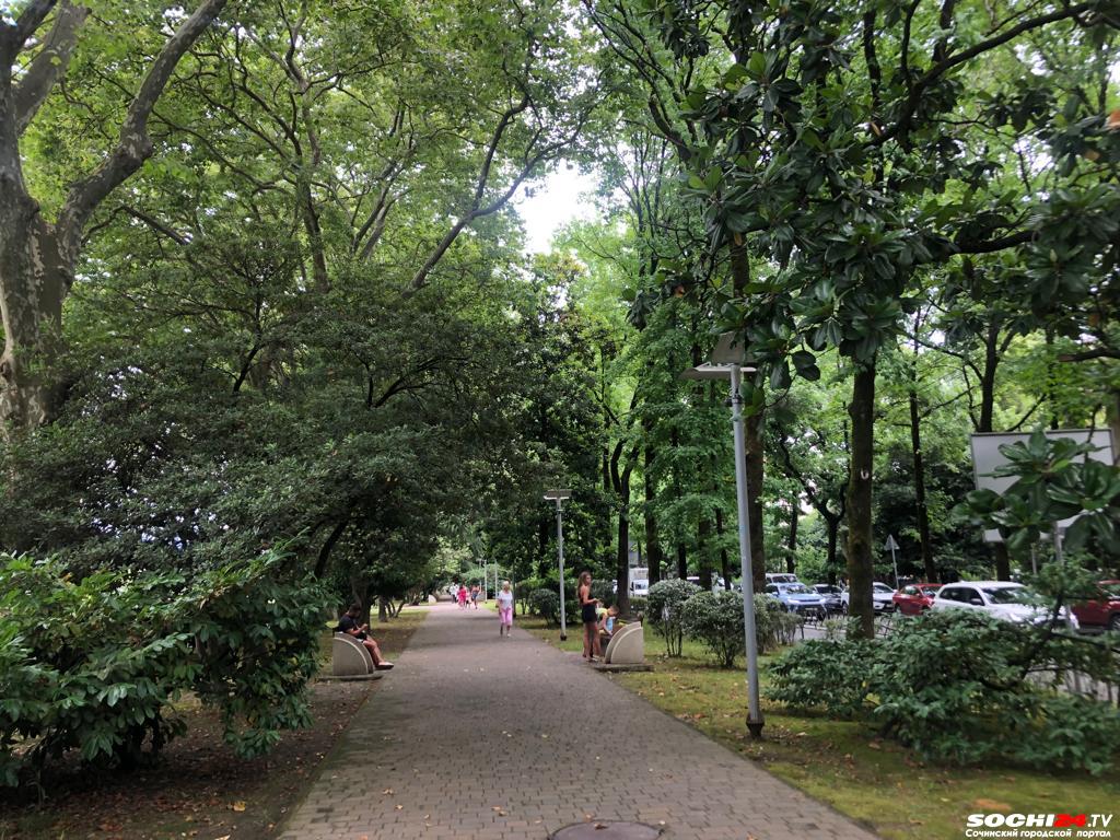 Ветрено, но хорошо: погода в Сочи ухудшается или становится лучше?