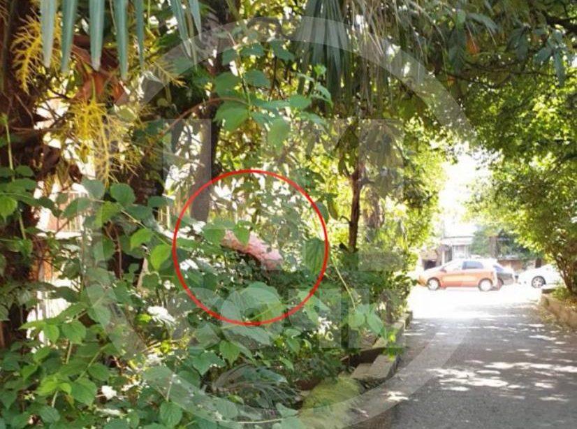 Лишил жизни свою дочь: в Сочи мужчину подозревают в страшном убийстве