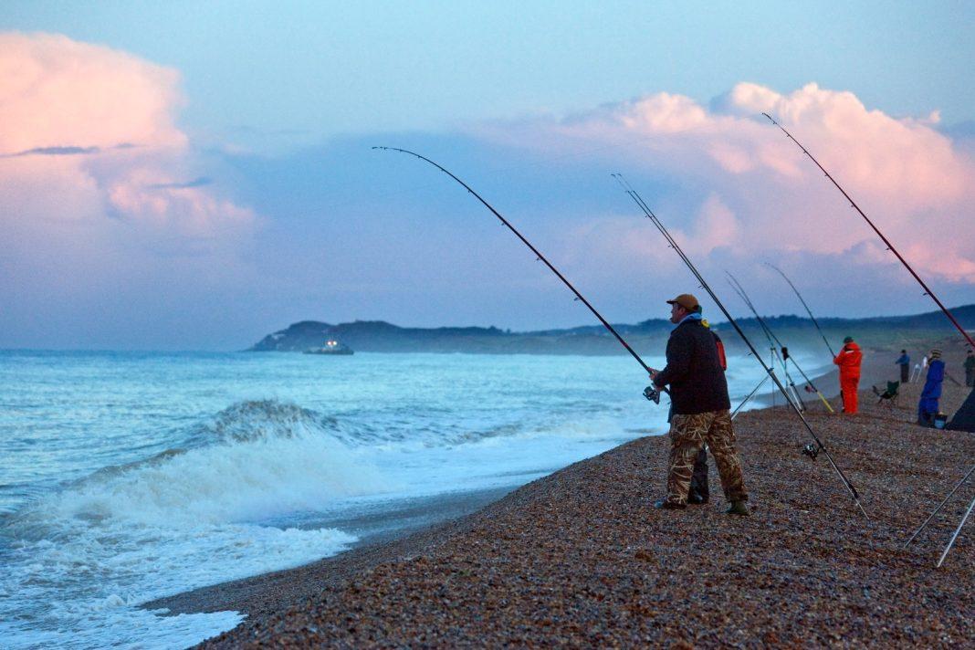 Надоели издевательства над животными: в России запретят вылов морских обитателей