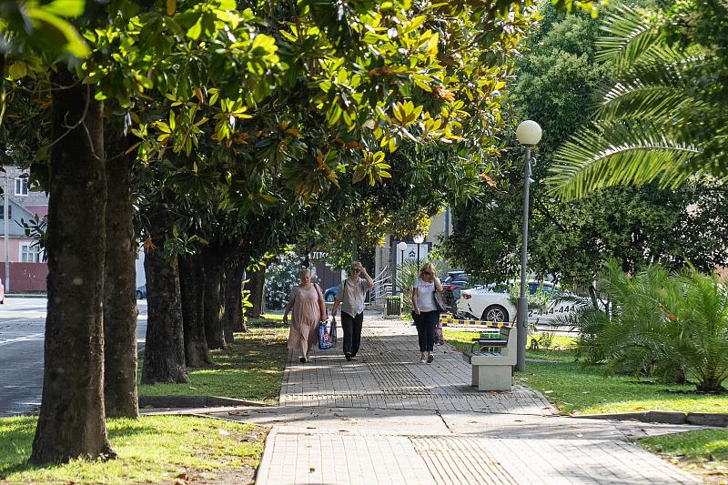 Из «Водостока» в администрацию: в Адлерском районе Сочи новый глава