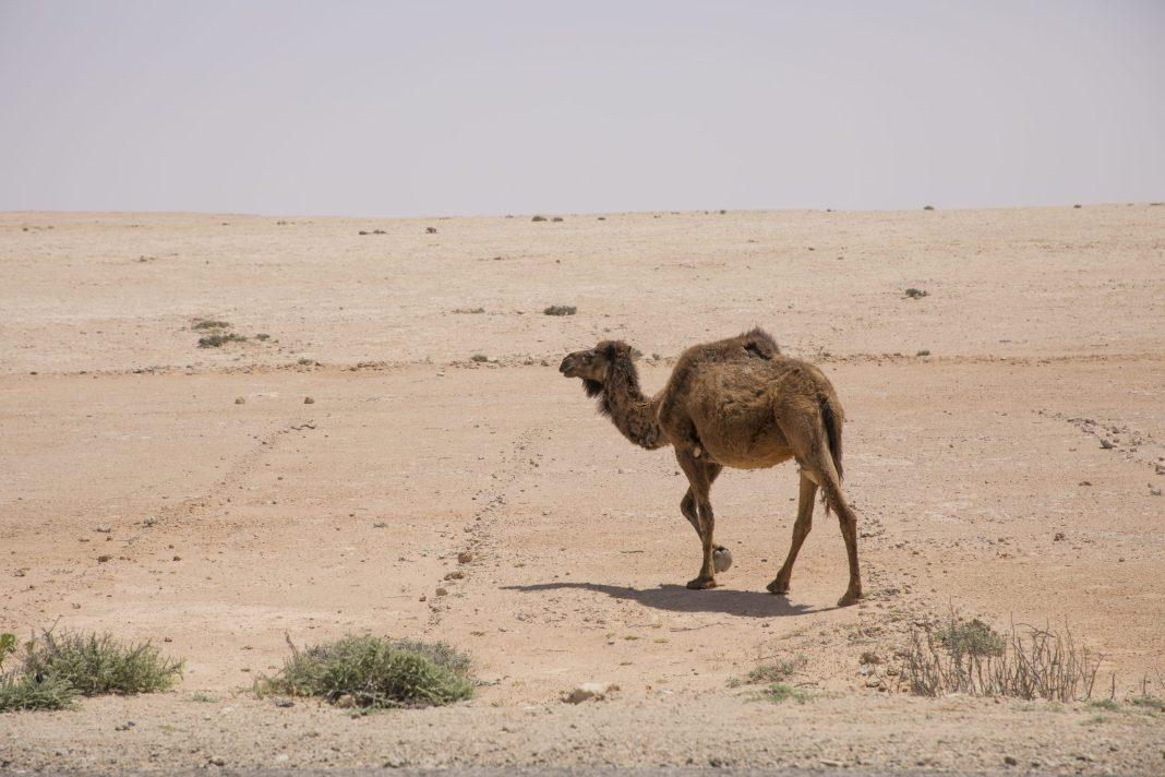 «Он не давал мне нормально дышать»: россиянка рассказала, как отдых превратился в кошмар наяву