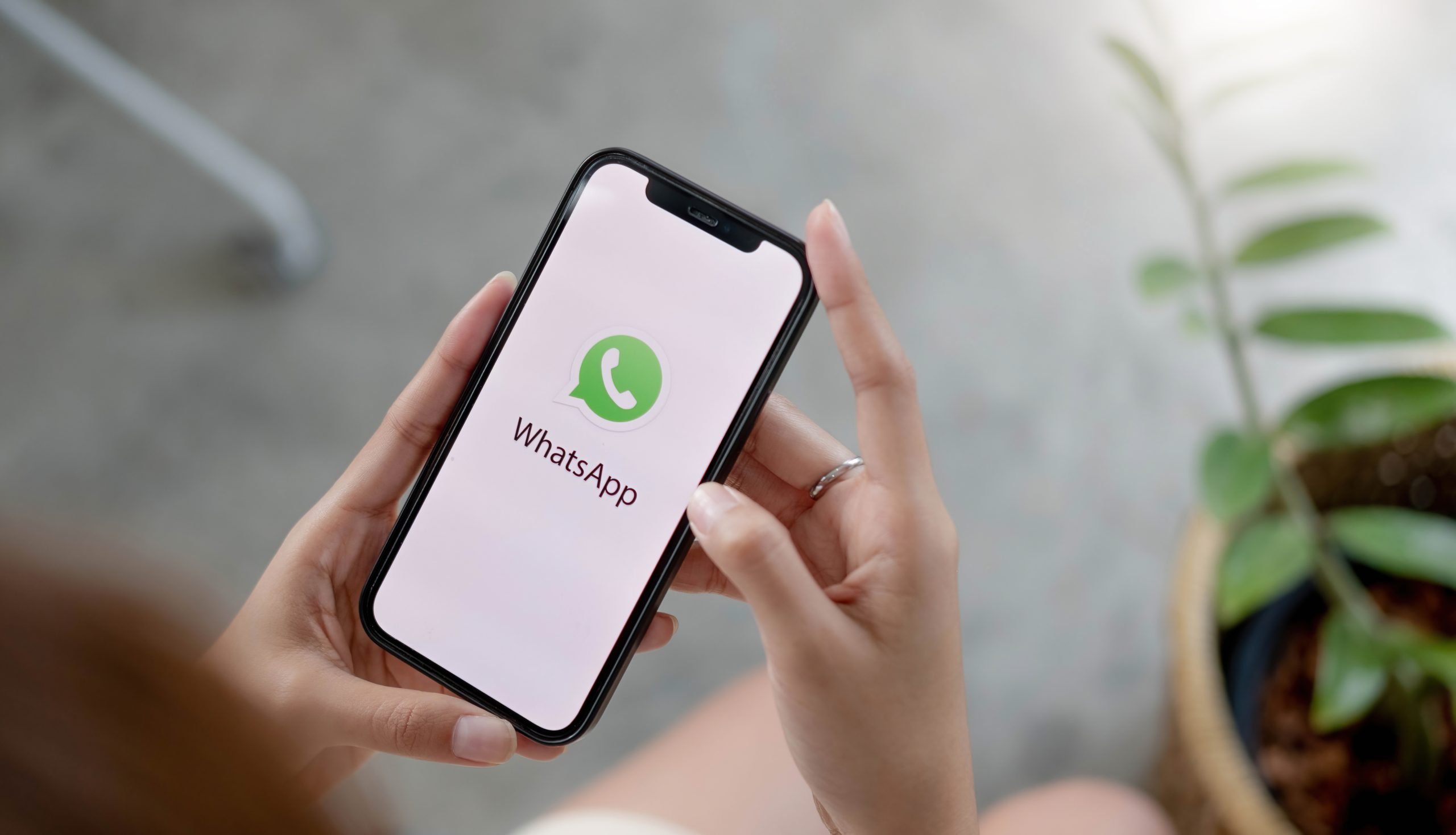 WhatsApp меняет правила игры: как это повлияет на жизнь россиян? -  Городской портал Сочи | Sochi24.tv - Все новости города