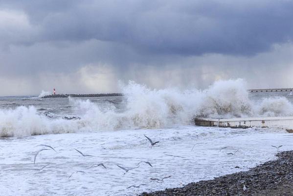 В заложниках стихии: в Сочи продлили штормовое предупреждение и закрыли пляжи для купания