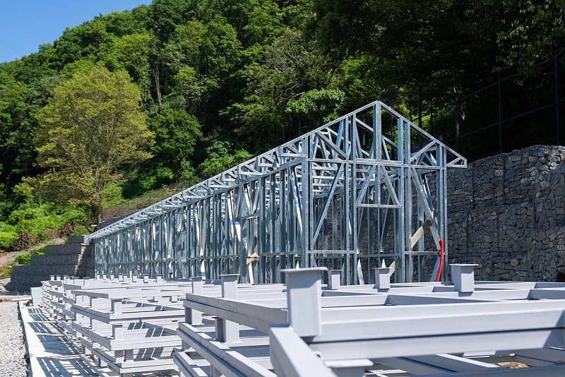 Уже в сентябре в Сочи появится первый в Краснодарском крае приют для бездомных животных