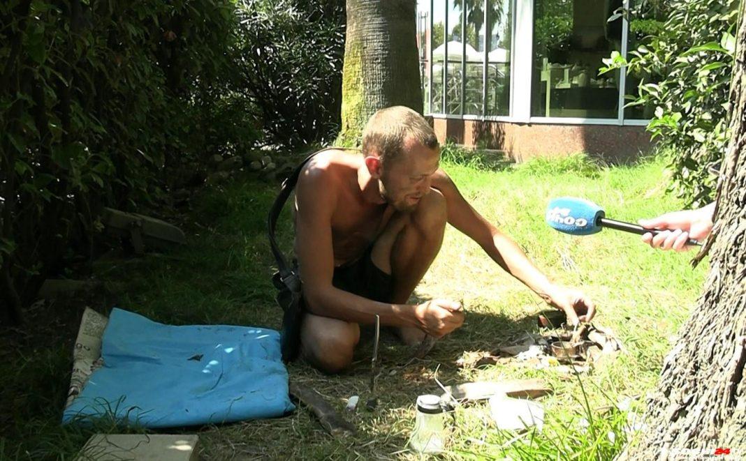 Кто живет в кустах на улице Навагинской в самом центре Сочи?