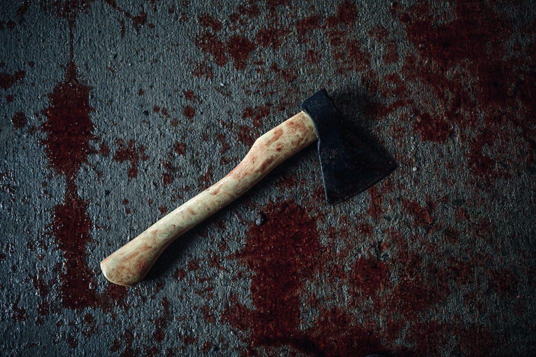 Мужчина зарубил собаку на глазах у детей. Удалось ли установить его личность?