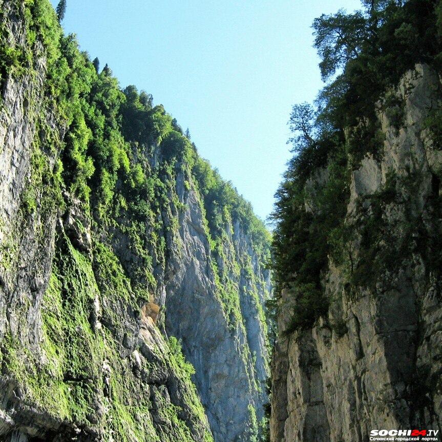 По пути на озеро Рица: это место в Абхазии должен посетить каждый турист