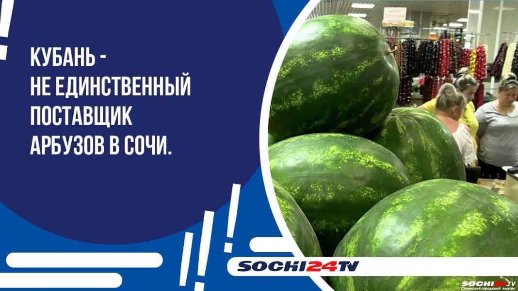 Арбузный сезон в самом разгаре: сколько стоят бахчевые в Сочи? (Видео)