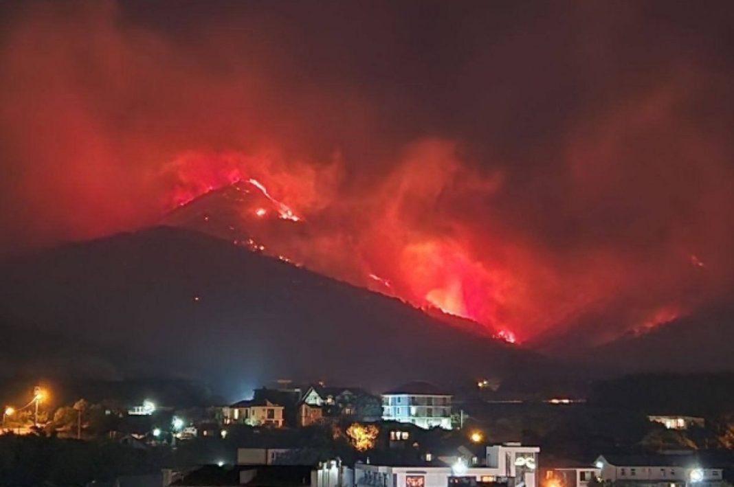 Виноват местный житель: площадь пожара в Геленджике достигла 118 га