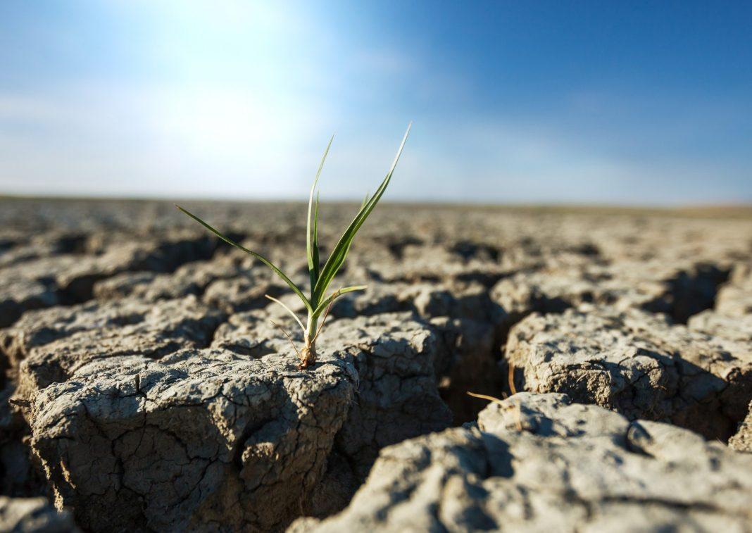 Турцию снова трясет: все подробности последнего землетрясения