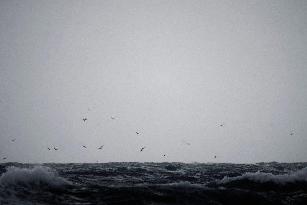 Трагедия в Сириусе: море унесло еще одну жизнь