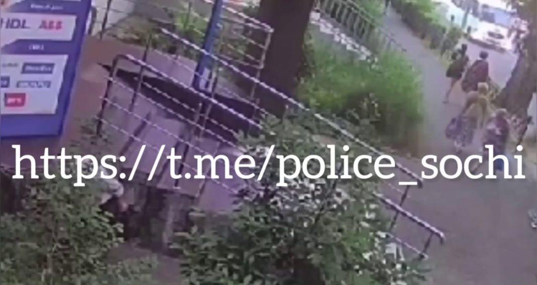 Пьяный турист ограбил пенсионерку в Сочи (видео)