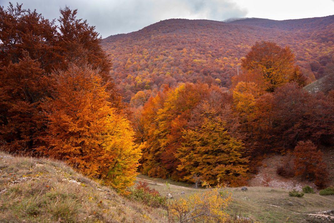 Окутаны тайной и мраком: эти 5 загадочных локаций в Казахстане стоит увидеть туристам