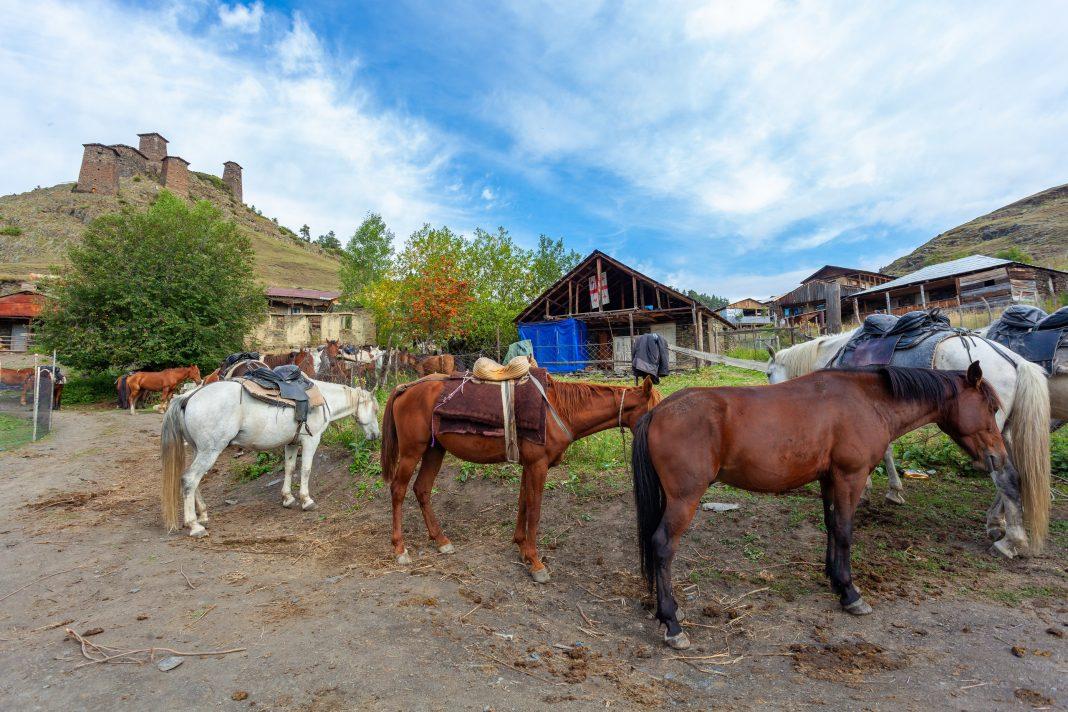 Без воды, без света и с плохой едой: россиянка рассказала, как сильно разочаровалась в Грузии
