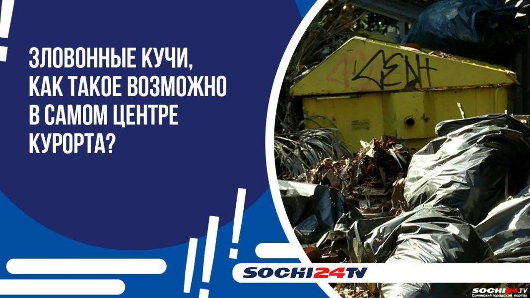 Мусорный коллапс на Цветном бульваре в Сочи: зловонные кучи стали убежищем для крыс (видео)