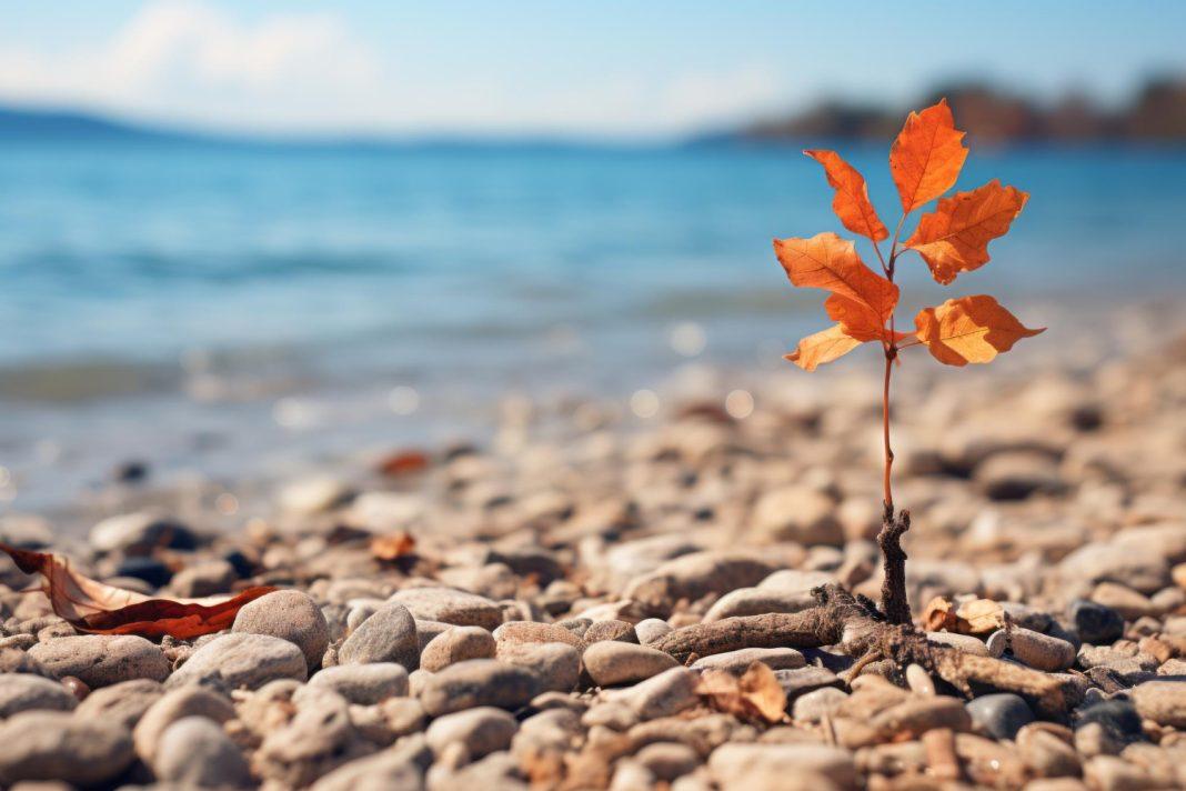 Пляжный сезон в Сочи заканчивается: когда придут холода