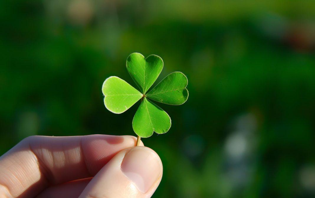 Удачная сделка: жительница России продает четырехлистный клевер за полмиллиона