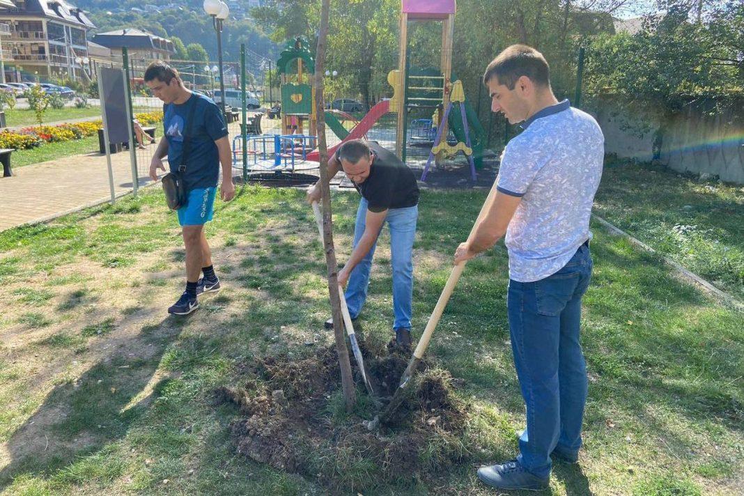 В Сочи проходит субботник