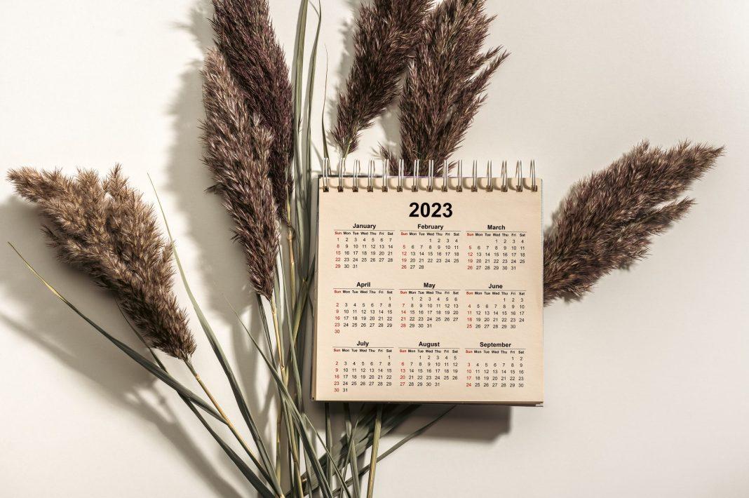 Сколько дней смогут отдохнуть жители России в ноябре 2023?