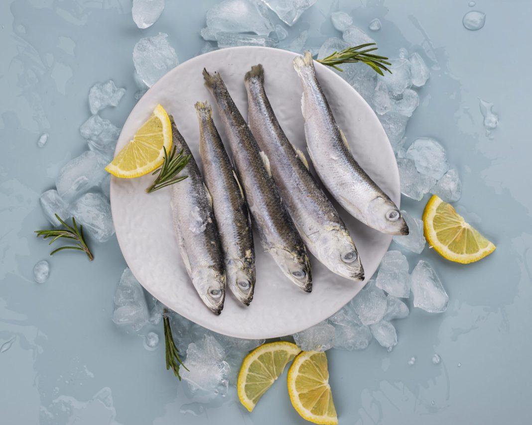 В России может стать меньше сельди и скумбрии