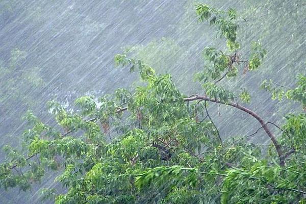 Продержаться до конца суток: Сочи готовится к потопу, вызванному ливнями и градом