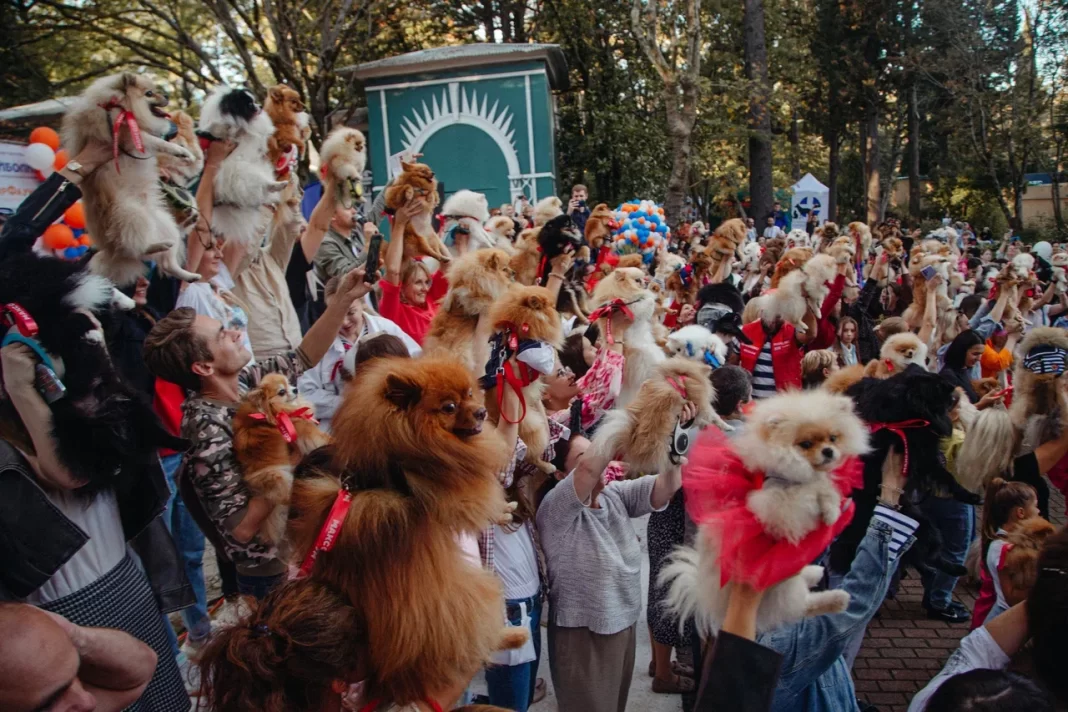 Парад шпицев в Сочи стал самым массовым: он попал в «Реестр рекордов России»