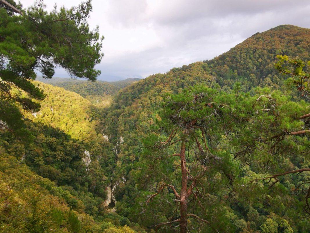 В Сочи переходят на зимний режим туробъекты Сочинского национального парка
