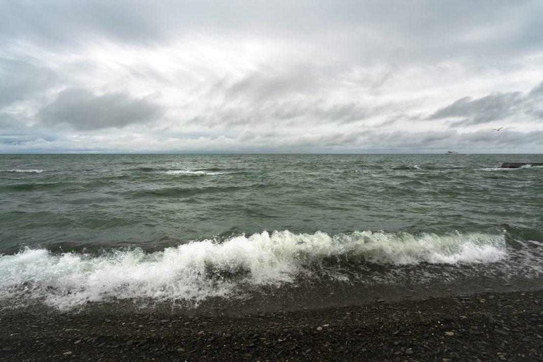 Что происходит сейчас на пляжах «Ривьера» и «Звездный» в Сочи?