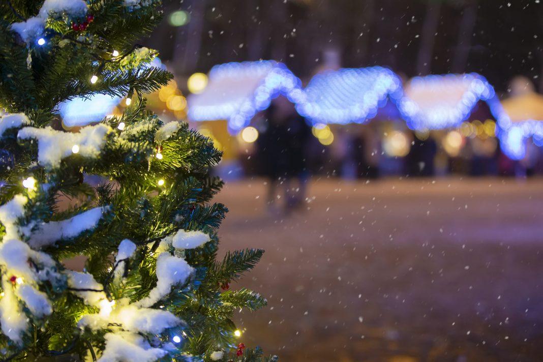 В России выбрали ель, которая будет украшать Красную площадь