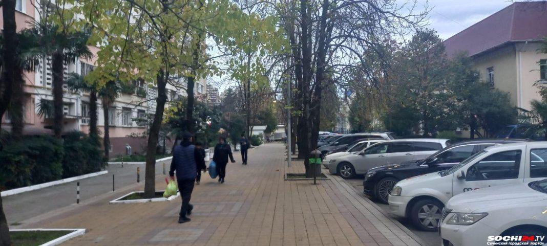 Популярный, живописный, развитый, туристический — специалисты рассказали, в чем фишка каждого района Сочи