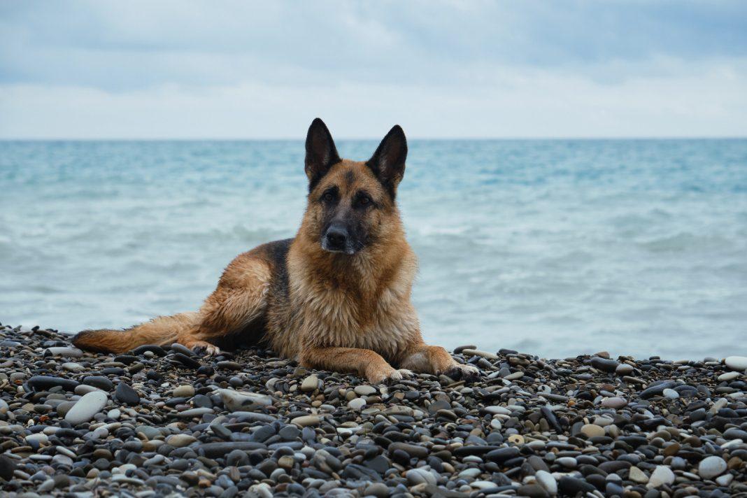 Такой погоды в ноябре еще не было: Россию накроет аномальное тепло