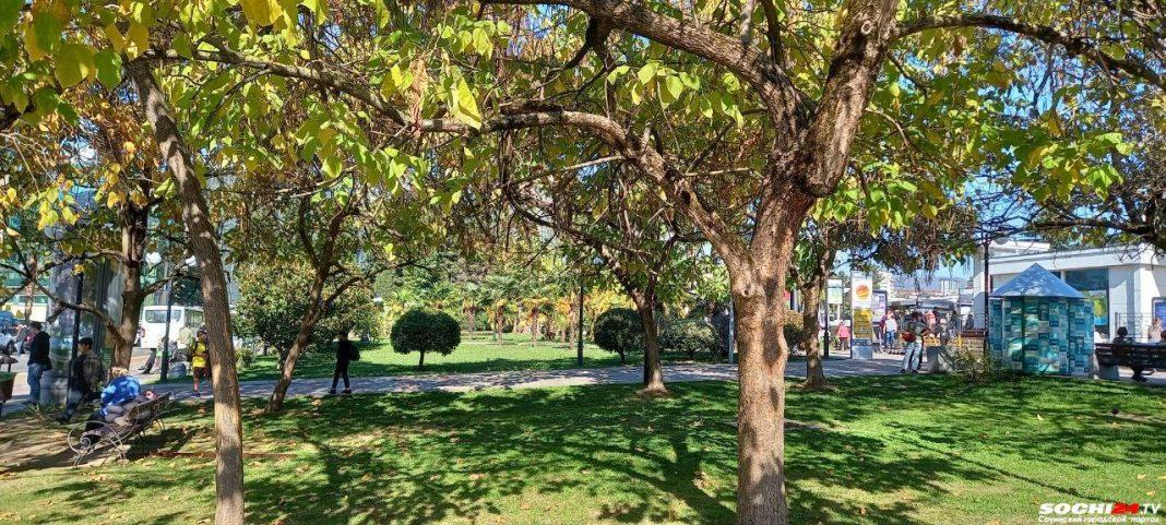 Сочи становится популярным направлением среди иностранных туристов