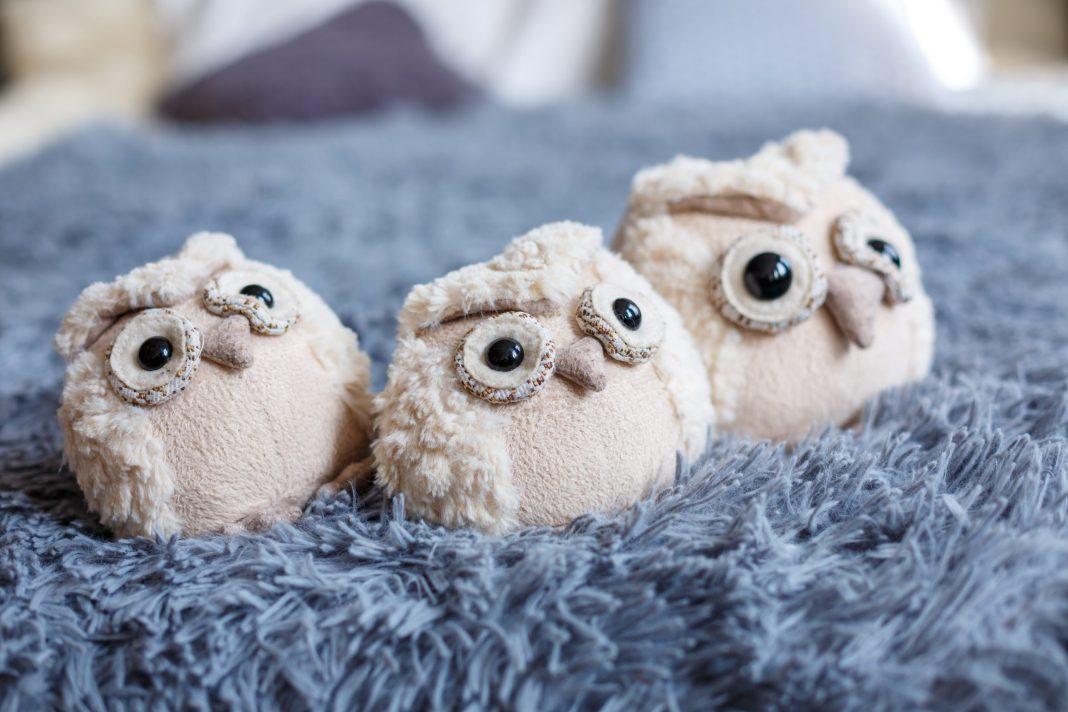 Исследователи определили, что больше всего «сов» живет в России