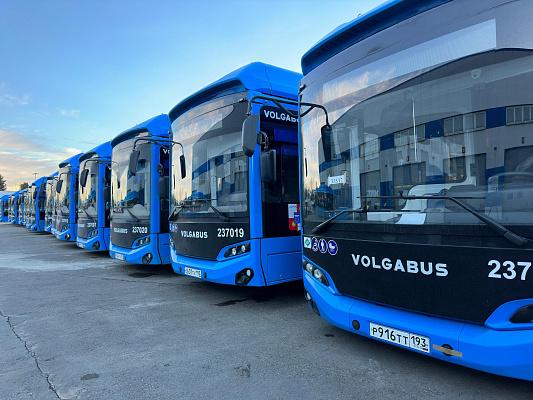 7 февраля эти автобусы в Сочи будут ходить бесплатно