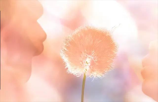 Эксперты рассказали о новом актуальном цвете в интерьере в 2024 году