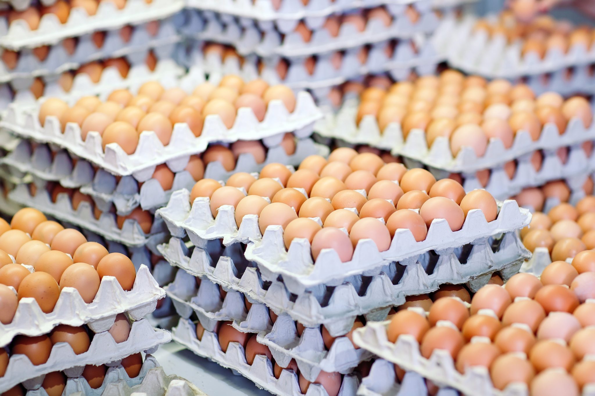 много яиц на английском. много яиц в азии. много яиц на английском. 20 яиц. много яиц бегунков.