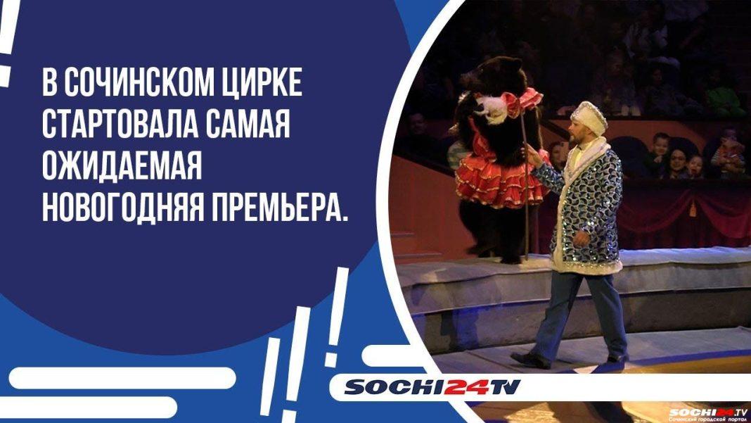 В Сочинском цирке стартовала самая ожидаемая новогодняя премьера шоу для всей семьи «Дед Мороз в стране медведей»