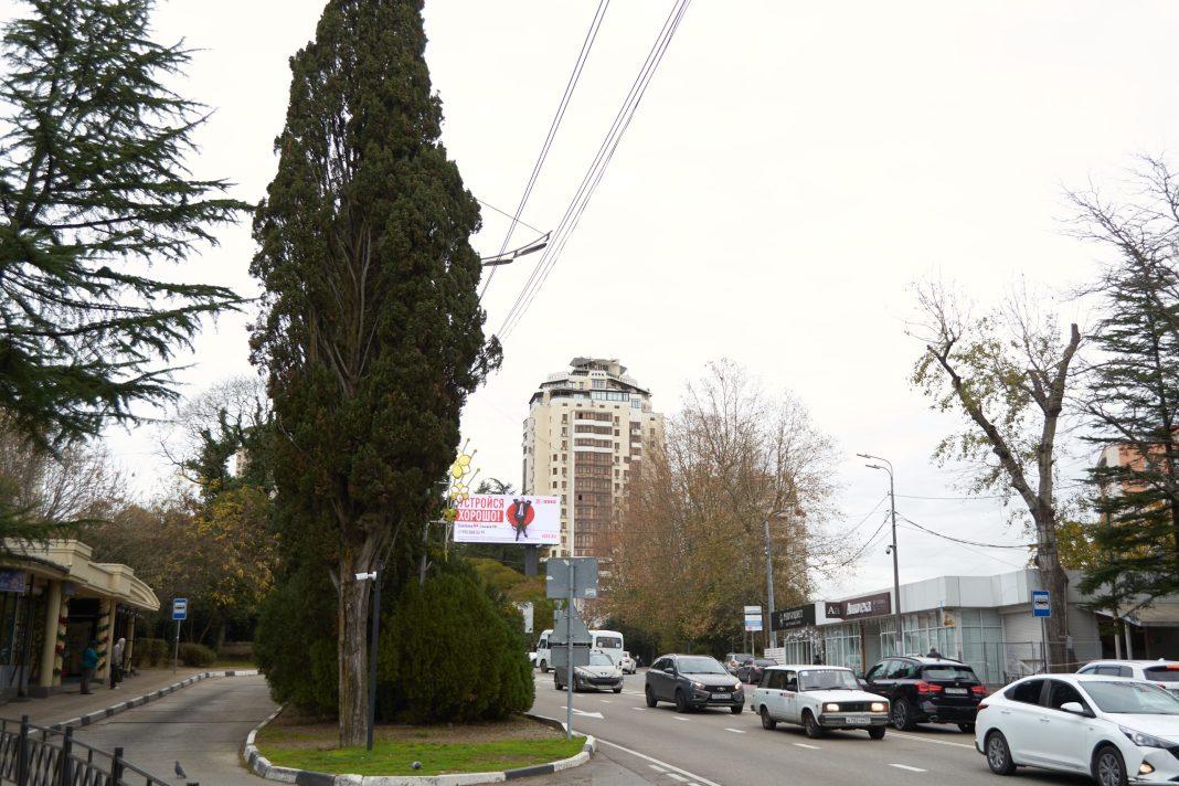 В Сочи появились новые светофоры. На каких улицах?