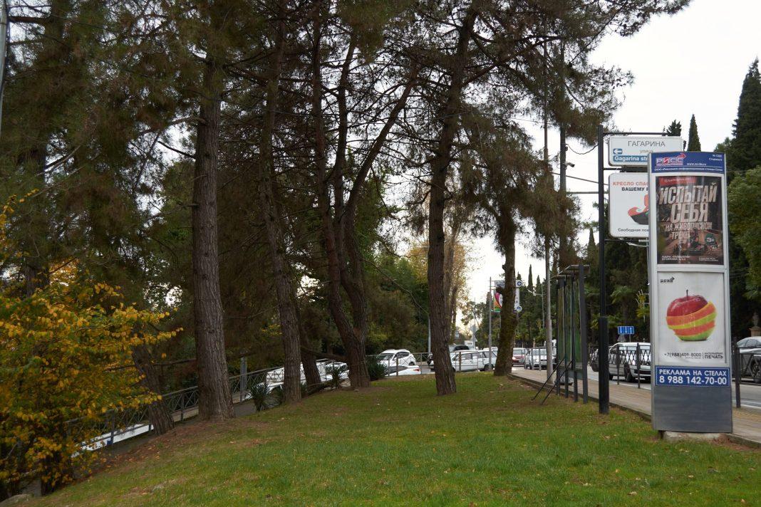 Как будут курсировать автобусы в Сочи на Новый год и Рождество (расписание)