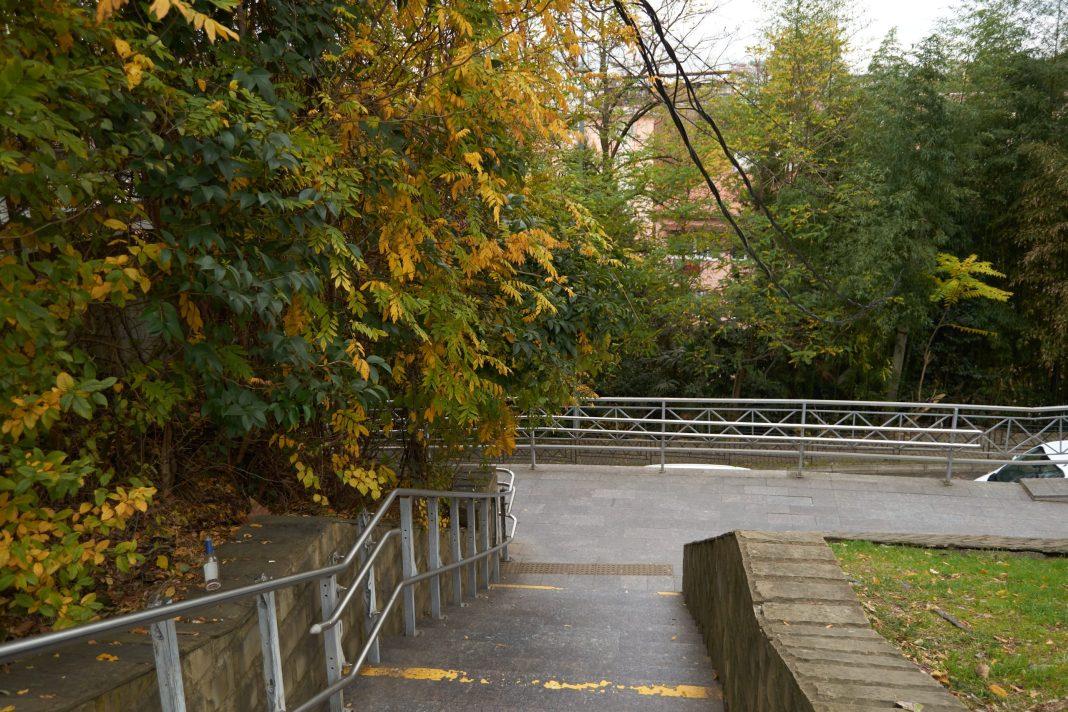 Погода в Сочи: чего ожидать ближайшие 5 дней