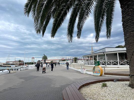 Сочи борется за туристов: город становится главным курортом летних и зимних каникул