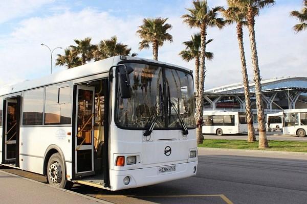 В «Сириусе» изменится схема движения транспорта