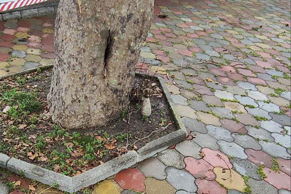 В Сочи на территории аквапарка обнаружили мину времен ВОВ