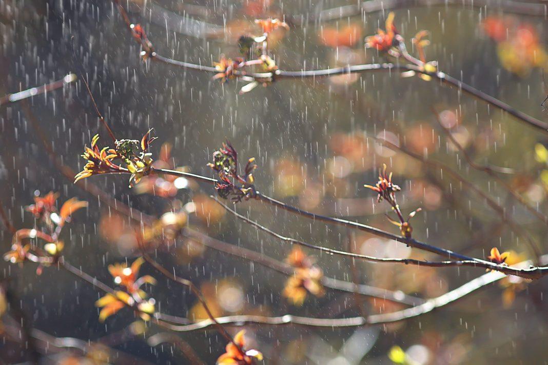 Погода в Сочи: когда закончится дождь?