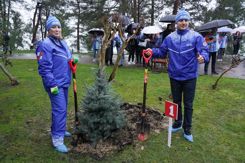 В Сочи появилась Аллея чемпионов