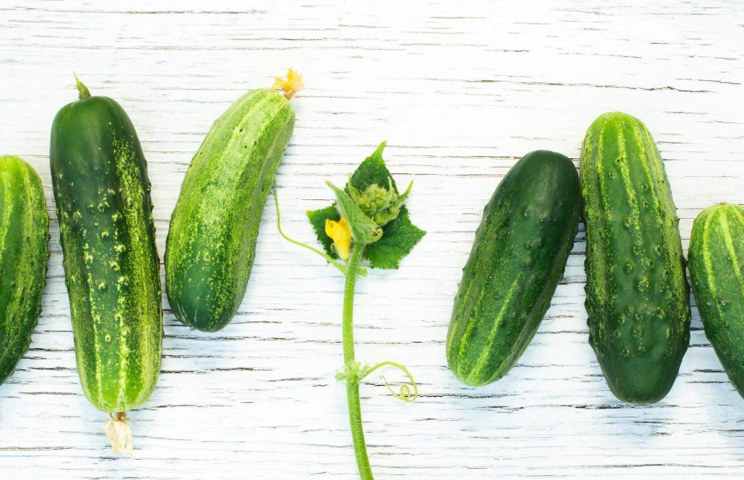 Росстат: ощутимо подорожали огурцы, белокочанная капуста и еще кое-что