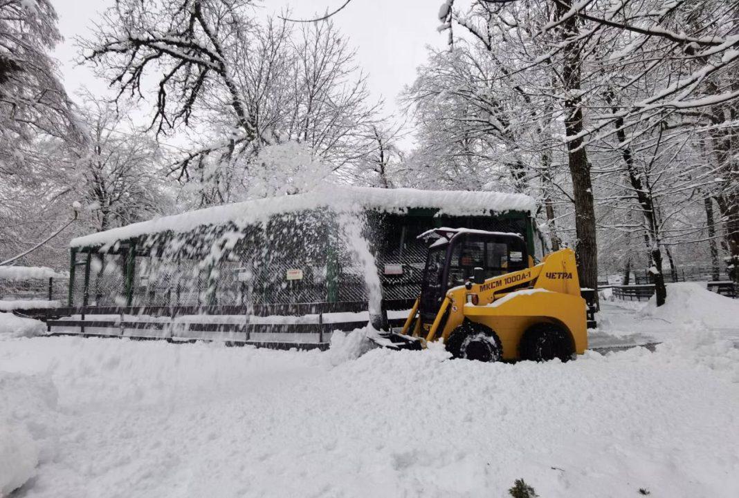 В Сочи ожидается сильный снегопад до 6 февраля
